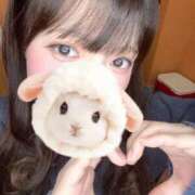 ヒメ日記 2025/04/12 16:11 投稿 ふうな 萌えカワ