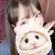 ヒメ日記 2025/04/12 23:03 投稿 ふうな 萌えカワ