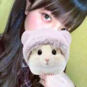 ヒメ日記 2025/04/13 09:08 投稿 ふうな 萌えカワ