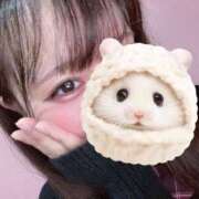 ヒメ日記 2025/04/13 15:31 投稿 ふうな 萌えカワ