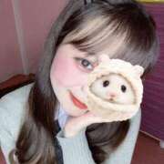 ヒメ日記 2025/04/19 15:25 投稿 ふうな 萌えカワ