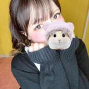 ヒメ日記 2025/04/29 07:25 投稿 ふうな 萌えカワ