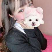 ヒメ日記 2025/05/03 13:52 投稿 ふうな 萌えカワ