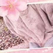 ヒメ日記 2025/04/01 16:57 投稿 堂本めい 五十路マダム 沼津店(カサブランカグループ)