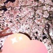 ヒメ日記 2025/04/03 20:01 投稿 堂本めい 五十路マダム 沼津店(カサブランカグループ)