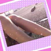 ヒメ日記 2025/04/08 11:37 投稿 堂本めい 五十路マダム 沼津店(カサブランカグループ)