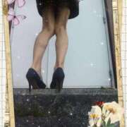 ヒメ日記 2025/04/24 17:19 投稿 堂本めい 五十路マダム 沼津店(カサブランカグループ)