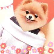 ヒメ日記 2025/04/28 13:29 投稿 堂本めい 五十路マダム 沼津店(カサブランカグループ)