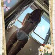 ヒメ日記 2025/09/18 07:53 投稿 堂本めい 五十路マダム 沼津店(カサブランカグループ)