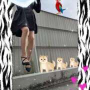 堂本めい (*´σー｀)エヘヘ 五十路マダム 沼津店(カサブランカグループ)