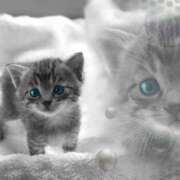 ヒメ日記 2025/12/28 14:19 投稿 堂本めい 五十路マダム 沼津店(カサブランカグループ)