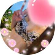 ヒメ日記 2026/03/14 16:55 投稿 堂本めい 五十路マダム 沼津店(カサブランカグループ)