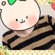 堂本めい こんにちはー 五十路マダム 沼津店(カサブランカグループ)