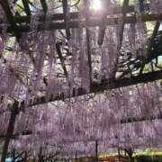 ヒメ日記 2025/04/25 12:08 投稿 スイ 【福岡デリヘル】20代・30代★博多で評判のお店はココです！