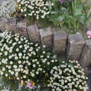 ヒメ日記 2025/04/26 17:42 投稿 スイ 【福岡デリヘル】20代・30代★博多で評判のお店はココです！