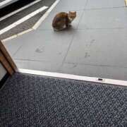 ヒメ日記 2025/12/26 22:58 投稿 スイ 【福岡デリヘル】20代・30代★博多で評判のお店はココです！