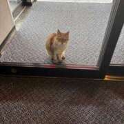 スイ お知らせ📢 【福岡デリヘル】20代・30代★博多で評判のお店はココです！