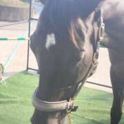 ヒメ日記 2025/04/19 11:11 投稿 たまき ちゃんこ大阪十三