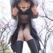 ヒメ日記 2025/03/25 17:21 投稿 風吹（ふぶき） 熟女の風俗最終章　鶯谷店