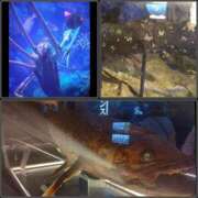 ヒメ日記 2025/04/03 17:40 投稿 風吹（ふぶき） 熟女の風俗最終章　鶯谷店