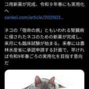 ヒメ日記 2025/04/22 21:30 投稿 風吹（ふぶき） 熟女の風俗最終章　鶯谷店