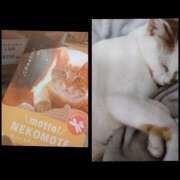 ヒメ日記 2025/04/28 20:46 投稿 風吹（ふぶき） 熟女の風俗最終章　鶯谷店