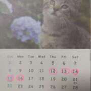 ヒメ日記 2025/05/29 06:06 投稿 風吹（ふぶき） 熟女の風俗最終章　鶯谷店