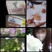 ヒメ日記 2025/06/04 20:36 投稿 風吹（ふぶき） 熟女の風俗最終章　鶯谷店