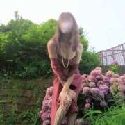 ヒメ日記 2025/06/29 05:56 投稿 風吹（ふぶき） 熟女の風俗最終章　鶯谷店