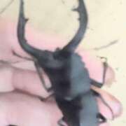 ヒメ日記 2025/07/06 19:26 投稿 風吹（ふぶき） 熟女の風俗最終章　鶯谷店