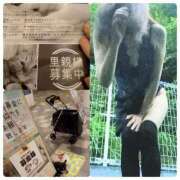 ヒメ日記 2025/07/15 15:07 投稿 風吹（ふぶき） 熟女の風俗最終章　鶯谷店