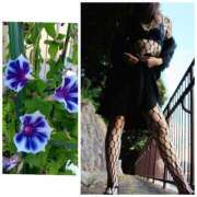 ヒメ日記 2025/08/05 12:34 投稿 風吹（ふぶき） 熟女の風俗最終章　鶯谷店