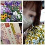 ヒメ日記 2025/08/13 05:46 投稿 風吹（ふぶき） 熟女の風俗最終章　鶯谷店