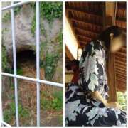 ヒメ日記 2025/08/15 07:46 投稿 風吹（ふぶき） 熟女の風俗最終章　鶯谷店