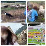 ヒメ日記 2025/10/12 13:56 投稿 風吹（ふぶき） 熟女の風俗最終章　鶯谷店