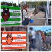 ヒメ日記 2025/11/08 16:48 投稿 風吹（ふぶき） 熟女の風俗最終章　鶯谷店