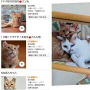 ヒメ日記 2025/11/25 05:56 投稿 風吹（ふぶき） 熟女の風俗最終章　鶯谷店