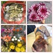 風吹（ふぶき） 左上のきのこみたいな花　ブルニア 熟女の風俗最終章　鶯谷店