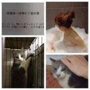 ヒメ日記 2026/01/30 05:36 投稿 風吹（ふぶき） 熟女の風俗最終章　鶯谷店