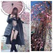 ヒメ日記 2026/02/11 08:37 投稿 風吹（ふぶき） 熟女の風俗最終章　鶯谷店