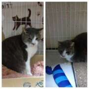 ヒメ日記 2026/02/16 04:36 投稿 風吹（ふぶき） 熟女の風俗最終章　鶯谷店