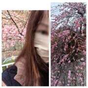 ヒメ日記 2026/02/25 04:56 投稿 風吹（ふぶき） 熟女の風俗最終章　鶯谷店