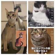 風吹（ふぶき） 神だった時代を思い出す猫達w 熟女の風俗最終章　鶯谷店