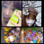 ヒメ日記 2026/04/09 05:36 投稿 風吹（ふぶき） 熟女の風俗最終章　鶯谷店