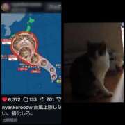 ヒメ日記 2026/09/18 18:57 投稿 風吹（ふぶき） 熟女の風俗最終章　鶯谷店