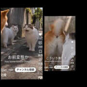 風吹（ふぶき） 犬の名刺交換（笑）　AIの正しい使い方 熟女の風俗最終章　鶯谷店