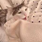 ヒメ日記 2025/03/19 11:02 投稿 きらら 静岡人妻なでしこ（カサブランカグループ)