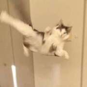 ヒメ日記 2025/03/19 14:02 投稿 きらら 静岡人妻なでしこ（カサブランカグループ)