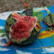 ヒメ日記 2025/08/12 15:00 投稿 神崎　まいか 三ツ星Class