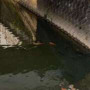 ヒメ日記 2025/04/29 17:10 投稿 おとな 熟女の風俗最終章 町田店